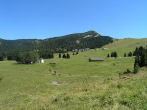 Da Vita Trentina "Montagne verdi, ma ancora per quanto?"